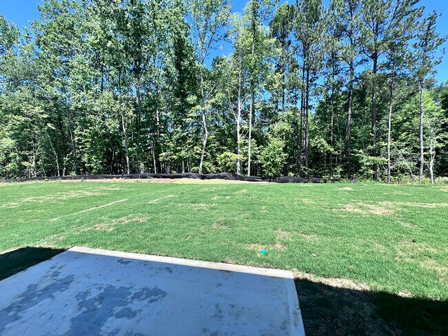 Building Photo - 258 Palm Dr