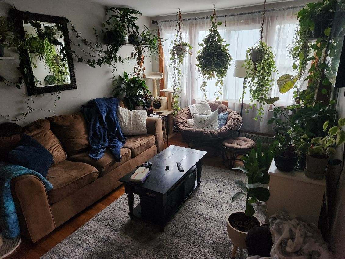 Bright Living Room - 1206 S 73rd St