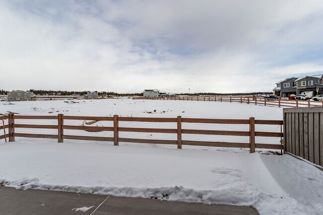 Building Photo - Beautiful, Brand-New Paired Home in Wolf Ranch