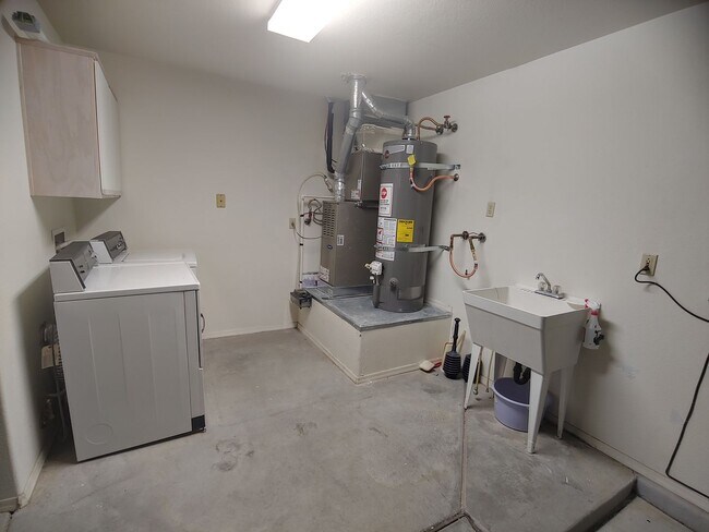 Building Photo - 3117 Birch Grove Ct