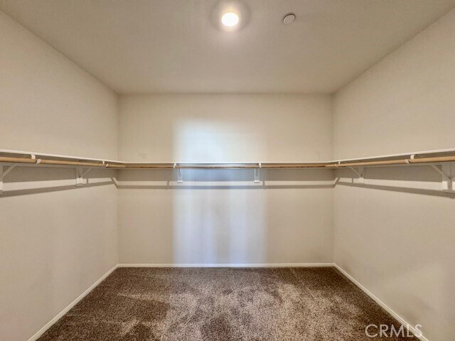 Building Photo - 31117 Bowery Ct