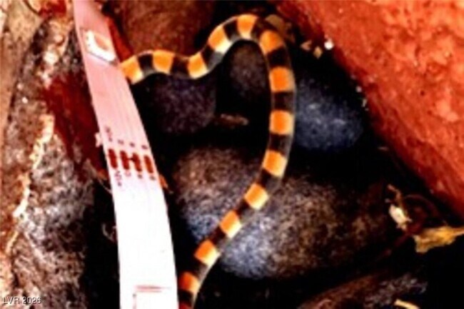 Building Photo - 481 Benedict Dr