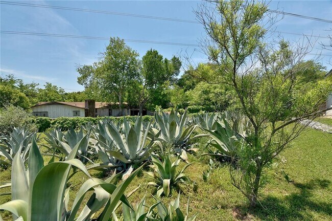 Building Photo - 4804 Menchaca Rd