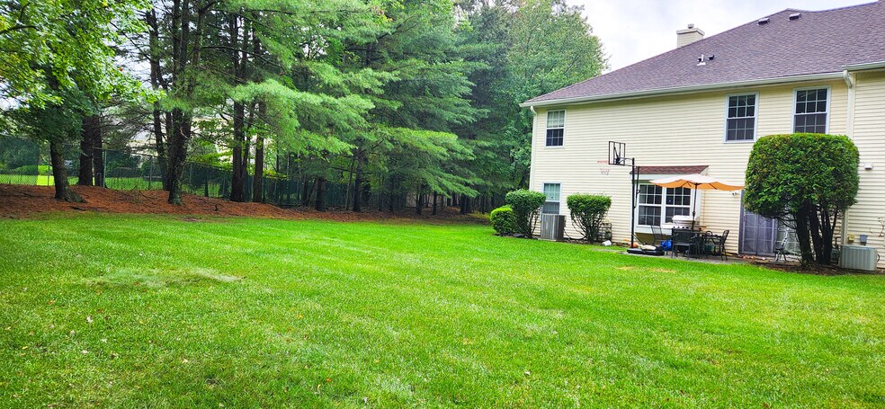 Backyard - 1103 Roseberry Ct