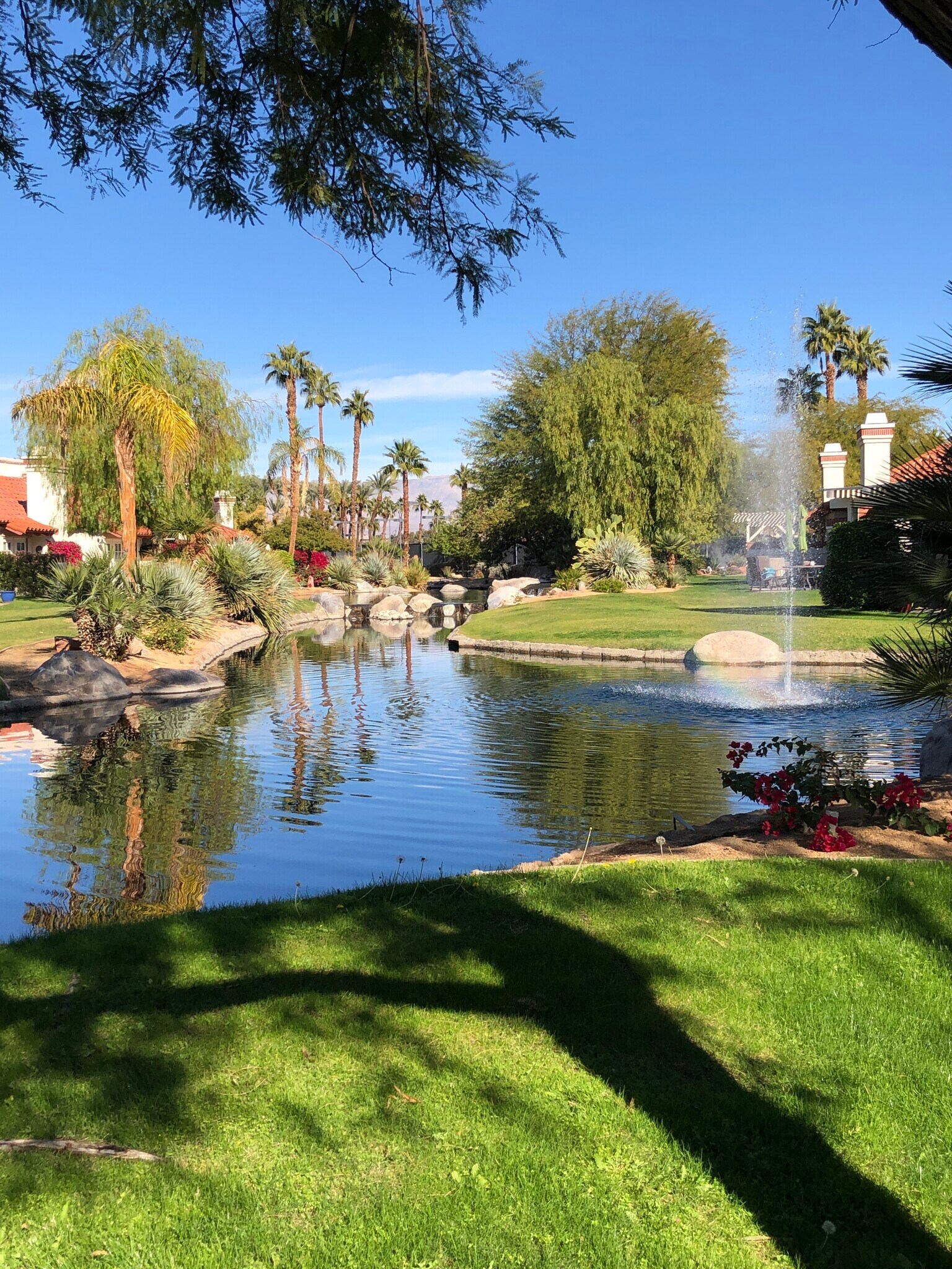 Lake at end of stream - 116 Avellino Cir