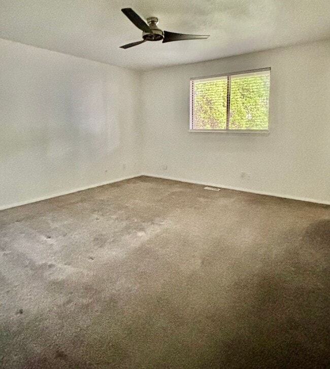 Building Photo - 3 Bed / 2 Bath Kirkland-Finn Hill rambler $3,395/month