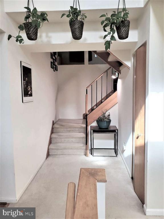 Building Photo - 8 Rex Ave