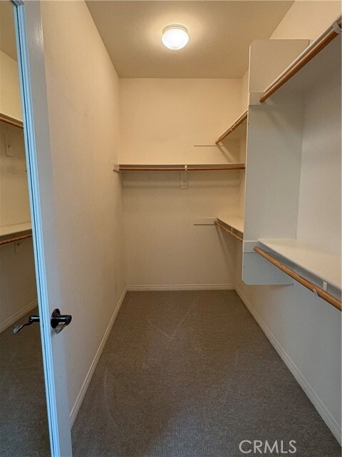 Building Photo - 100 Playa Cir