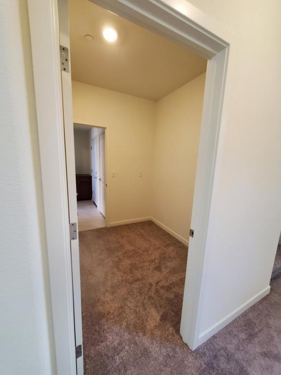 Building Photo - 34 Lemon Twist Ct