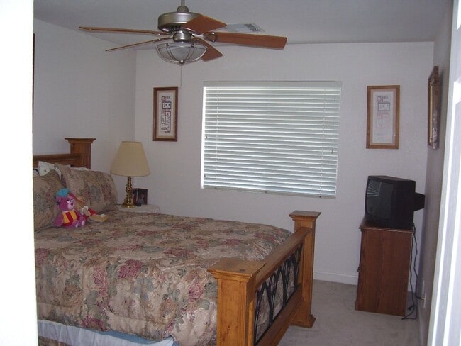 Building Photo - LACEBARK PINE