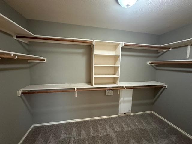 Building Photo - 14513 Ballyclarc Dr