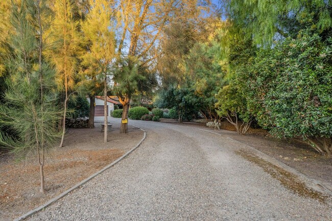 Building Photo - Los Olivos Custom Home