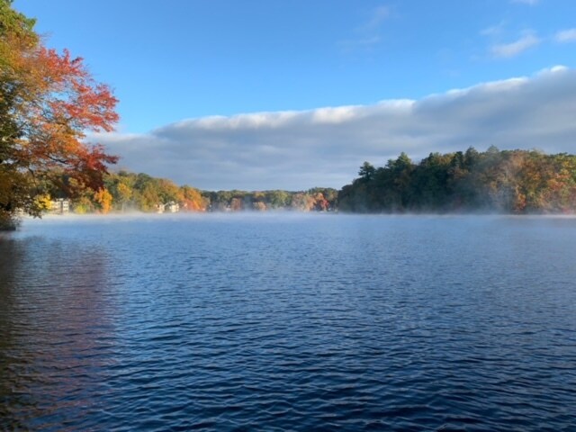 Building Photo - 55 Knollwood Ln