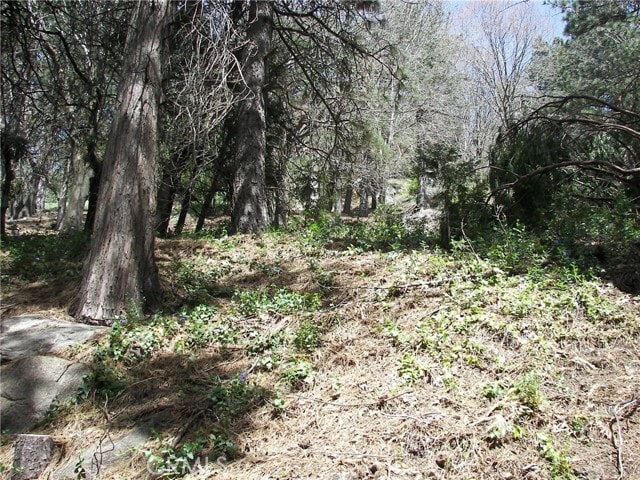 Building Photo - 21636 Sawpit Canyon Rd