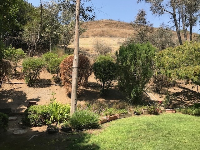 Building Photo - Beautiful family home in Newbury Park!