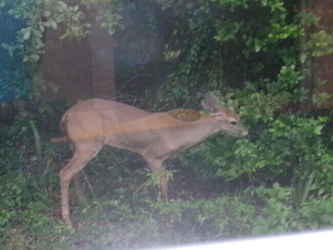 Building Photo - 4 Gentle Ben Path