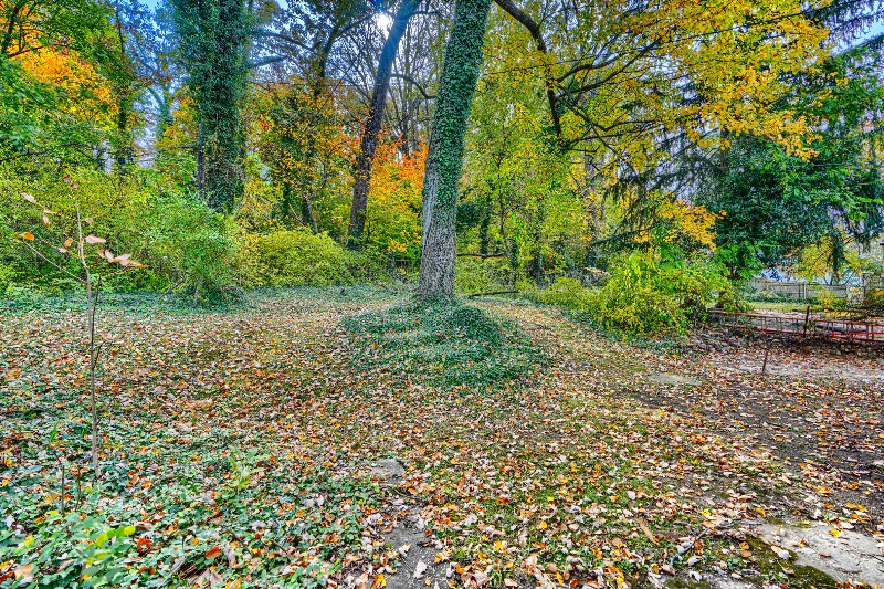 Building Photo - 13 Summerfield Rd