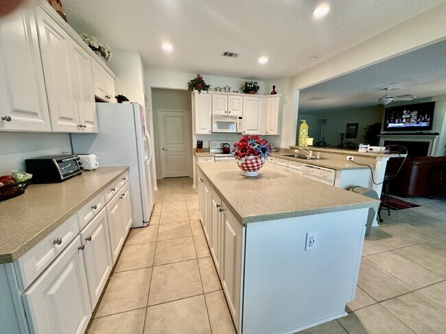 Building Photo - Large Beautifully Furnished Home in Sun City!