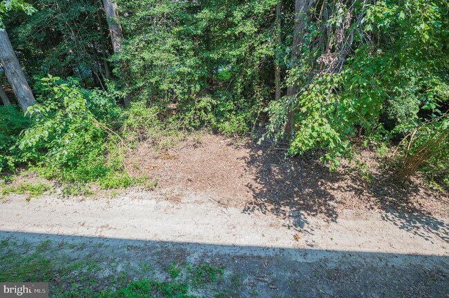 Building Photo - 800 College Ln