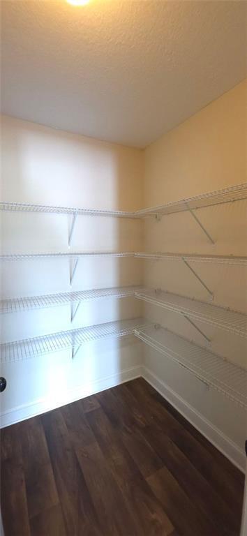 Building Photo - 2125 Savannah Dr