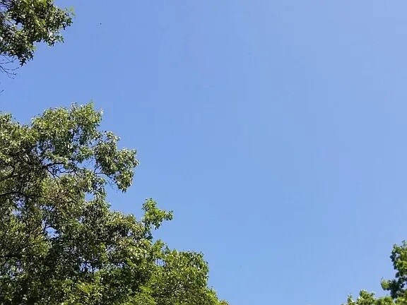 Quiet, tree-lined street, pleasant neighborhood. Terrific walk-score Thank you for taking a look! - 58 Oakwood Dr