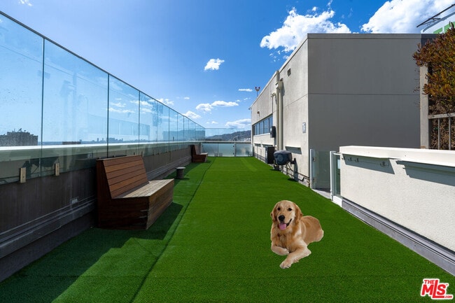 Building Photo - 6250 Hollywood Blvd