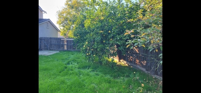 Building Photo - 3968 Colma Ave