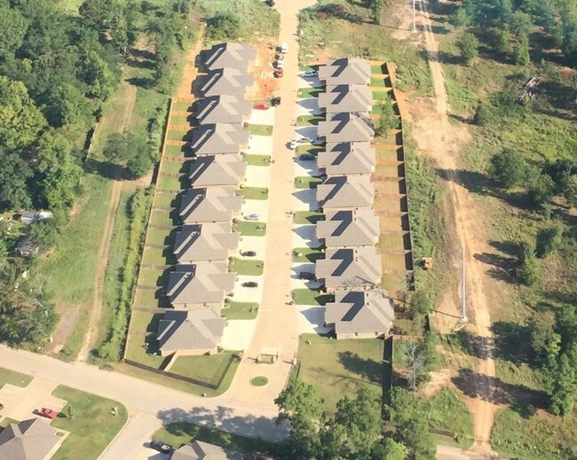 Aerial Photo - Shadow Oak