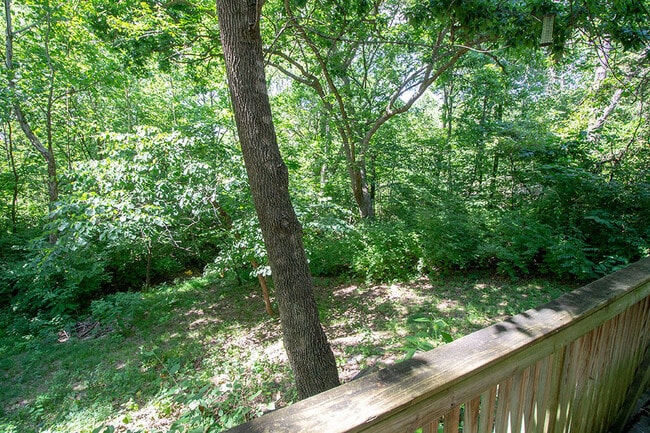 Building Photo - 1329 Valley Creek Ln