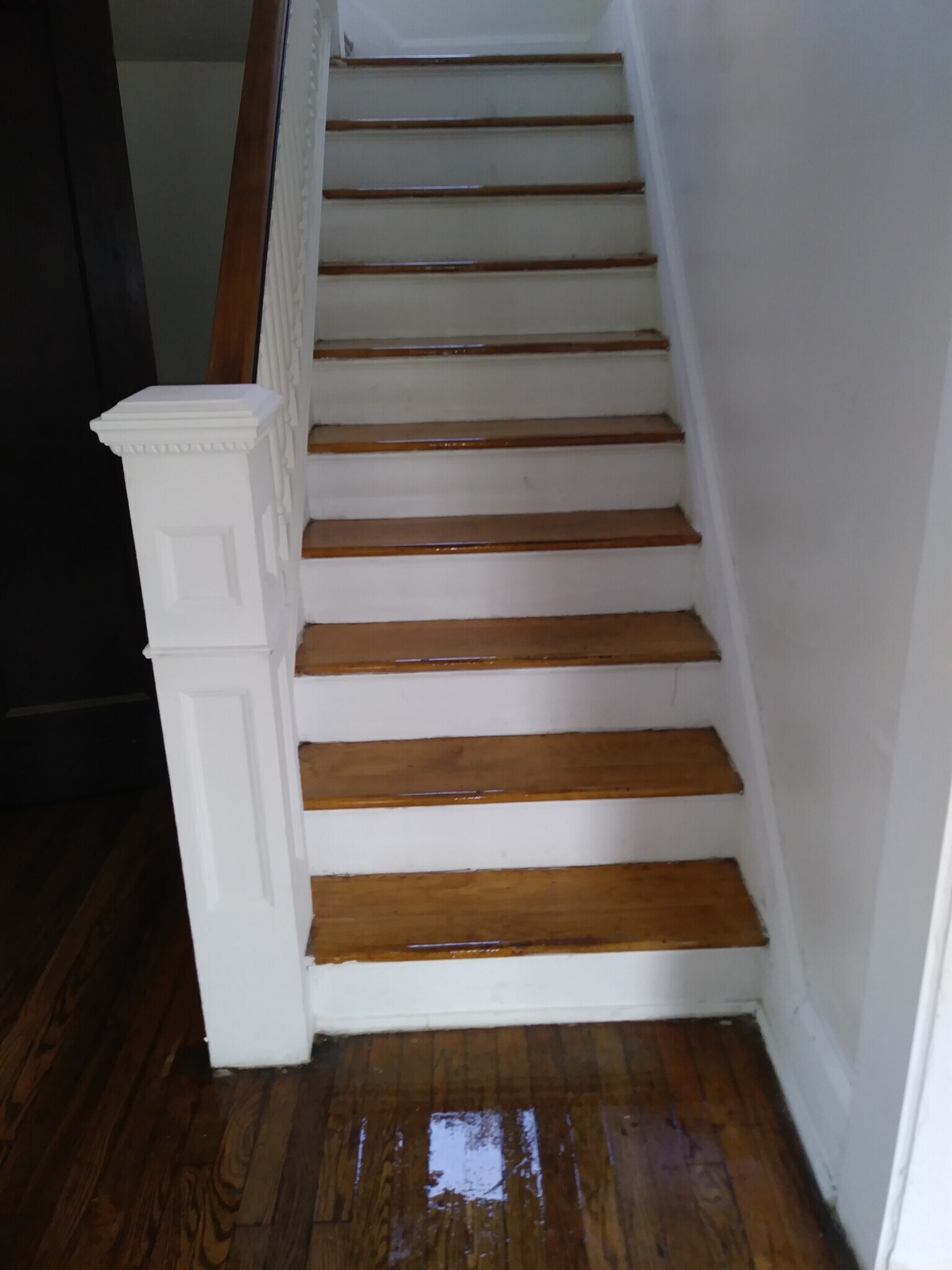 Building Photo - 157 Monterey St