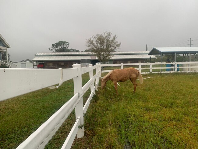 Building Photo - FURNISHED, Horse Farm Dream House