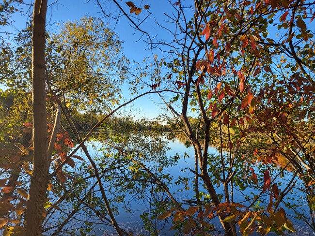 Building Photo - 11737 21 Mile Rd