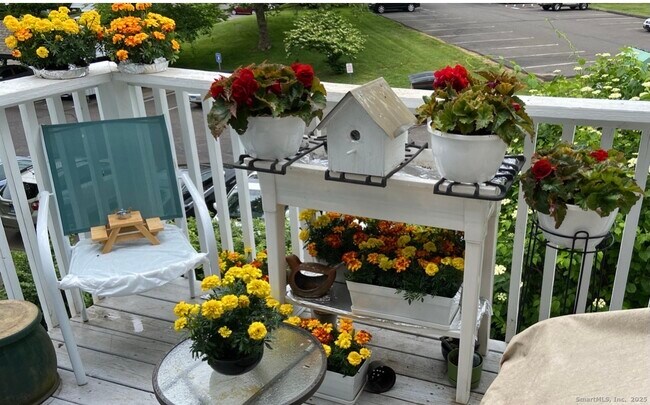 Building Photo - 37 Brookwood Dr