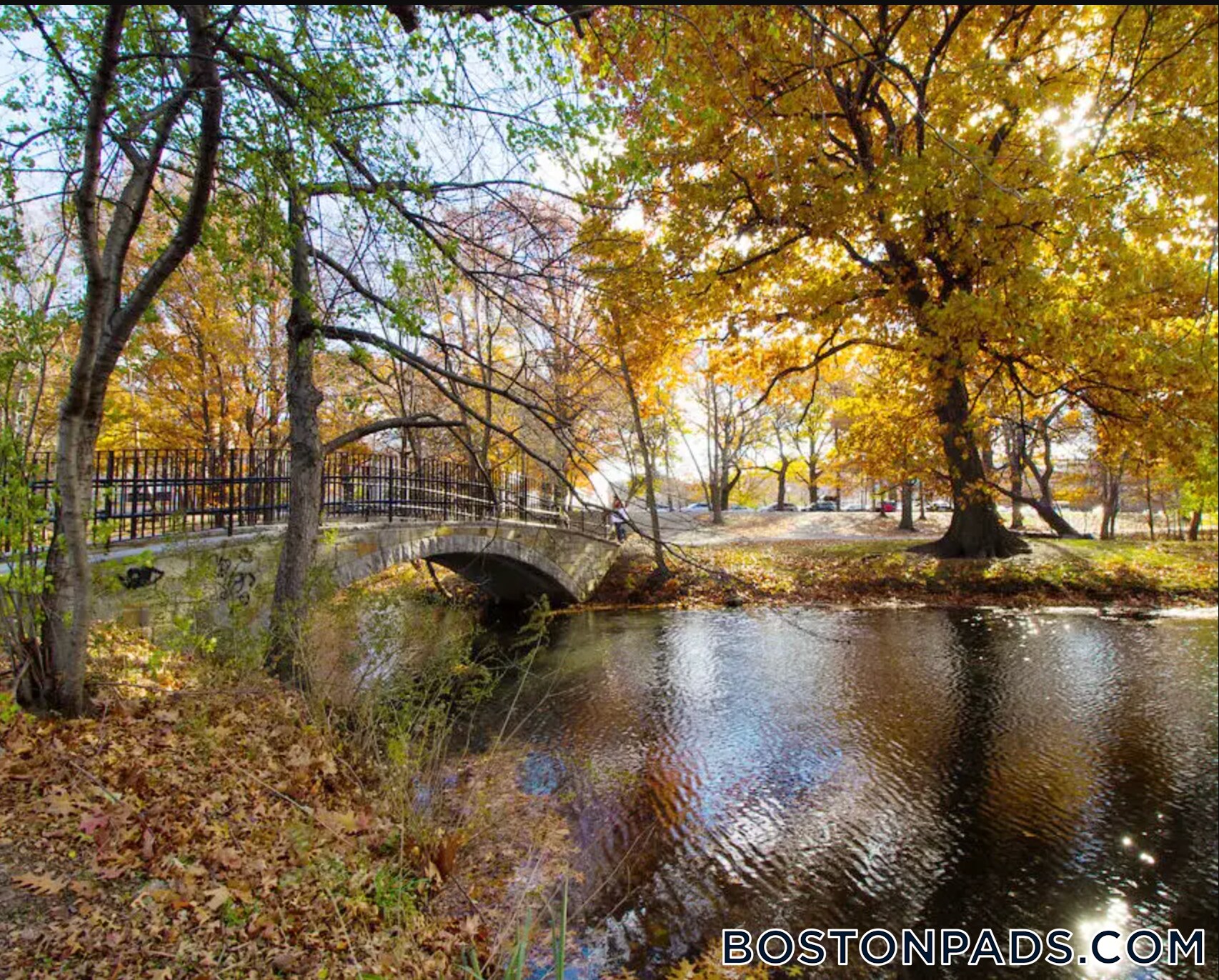 Building Photo - 151 Park Dr