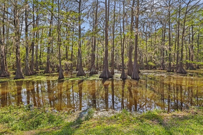 Building Photo - 218 Waterfall Dr