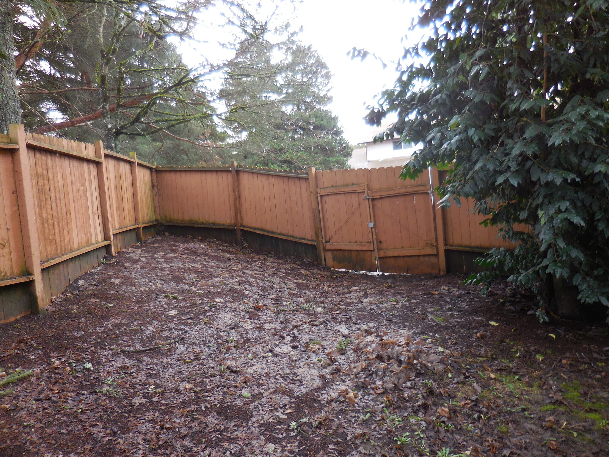 Building Photo - 3845 Northwest Chemult Place