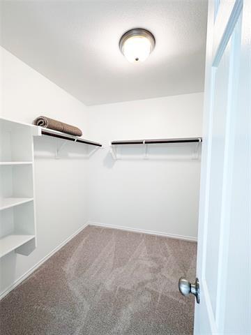 Building Photo - 874 Lake Fletcher Rd