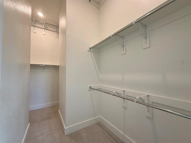 Building Photo - 1817 Horseshoe Ln