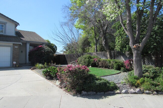 Building Photo - Beautiful 4 Bed/3 Bath Tracy Home with Pool and Fresh Paint