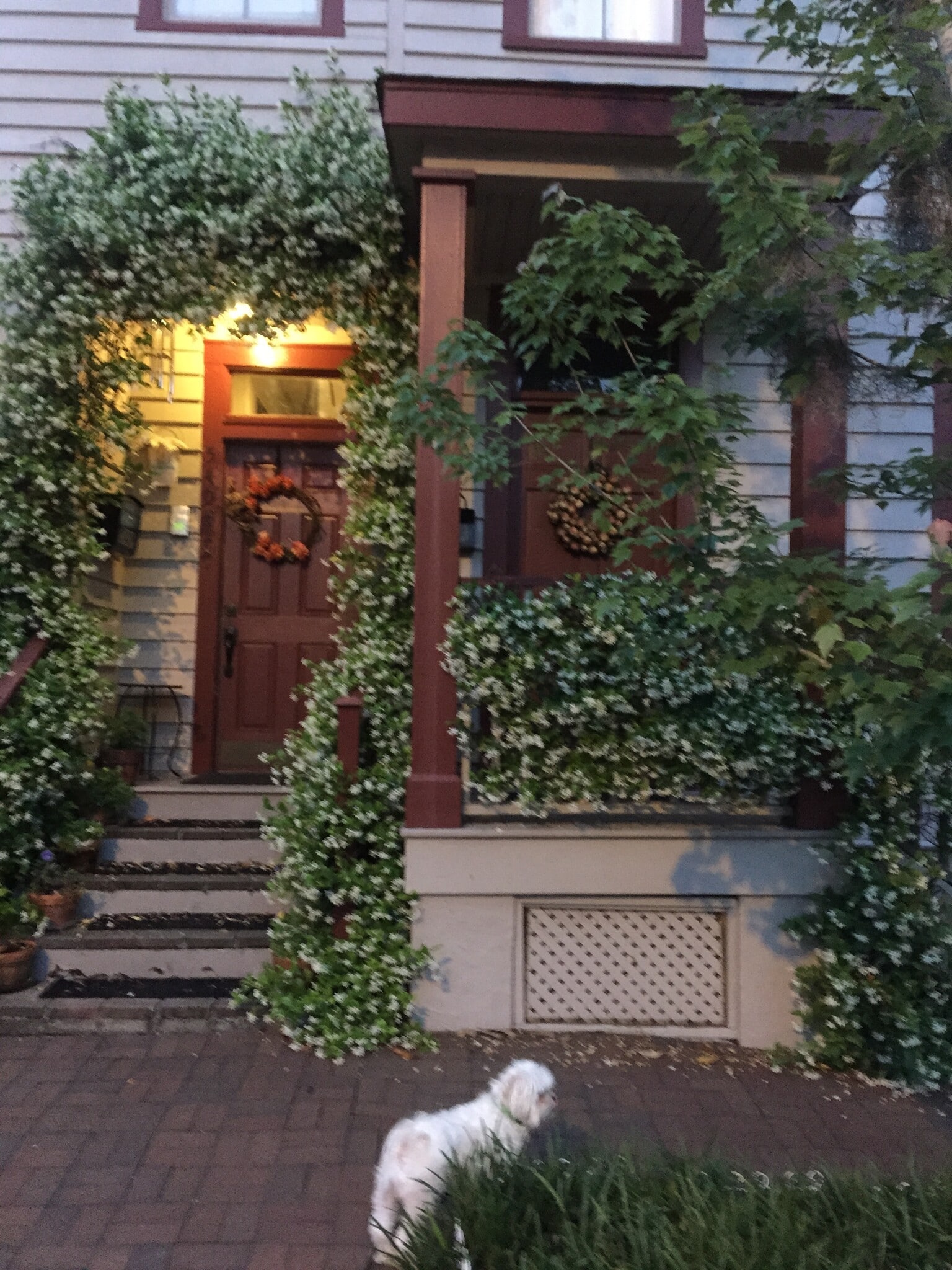 Owner lives 1st floor (adjacent porch) next doorway apt - 540 E Taylor St