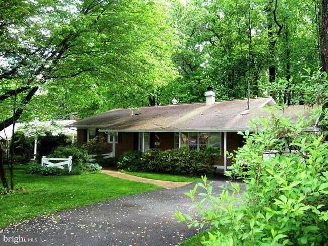 Building Photo - 3913 Moss Dr