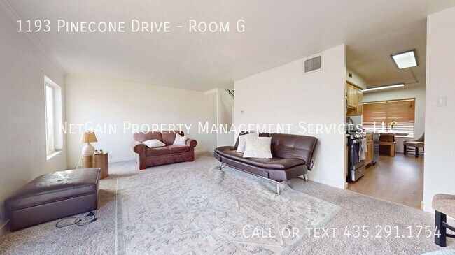Building Photo - 1193 Pinecone Dr