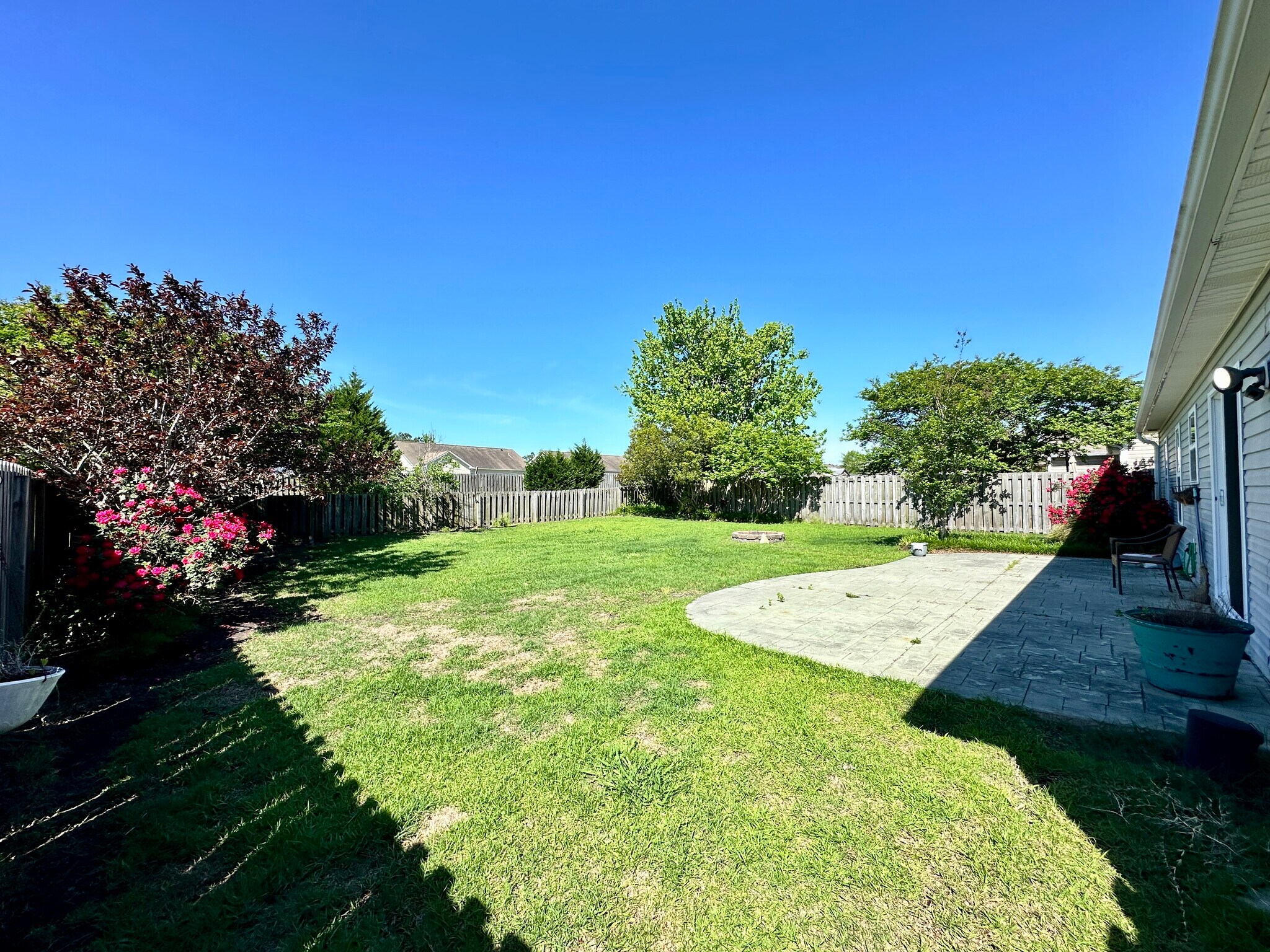 Backyard - 213 Red Carnation Dr