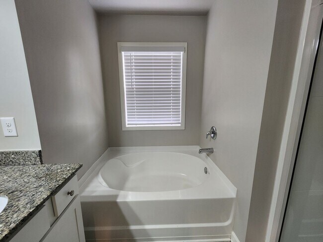 Building Photo - 5 Bedroom 3 Bath 2 Car Garage in Forsyth C...