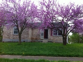 Building Photo - 3201 Catskill Ct