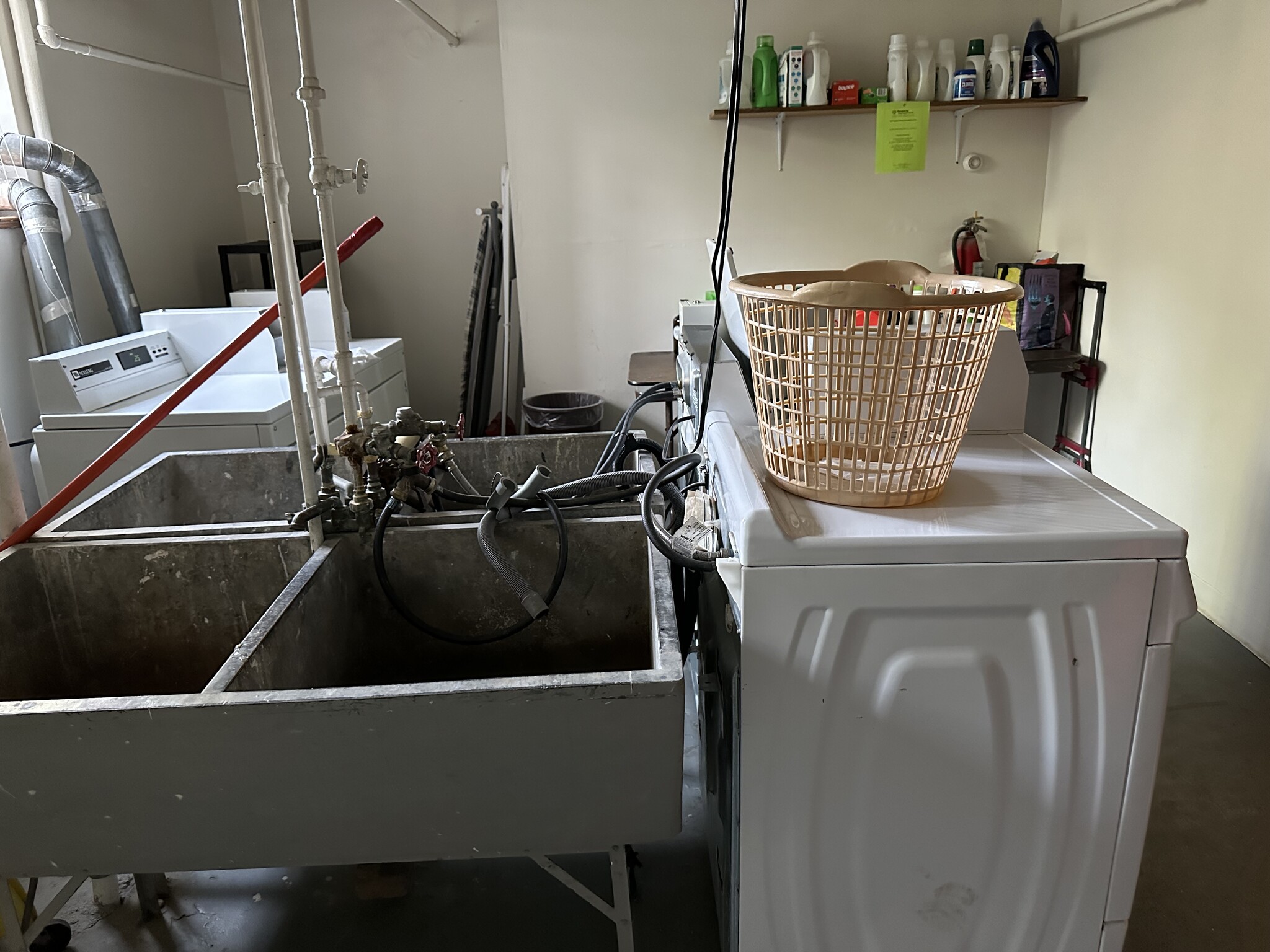 Laundry room in basement - 2233 Kearney St