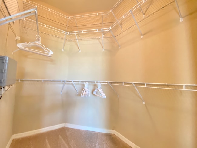 Building Photo - 2125 Sweetbroom Cir