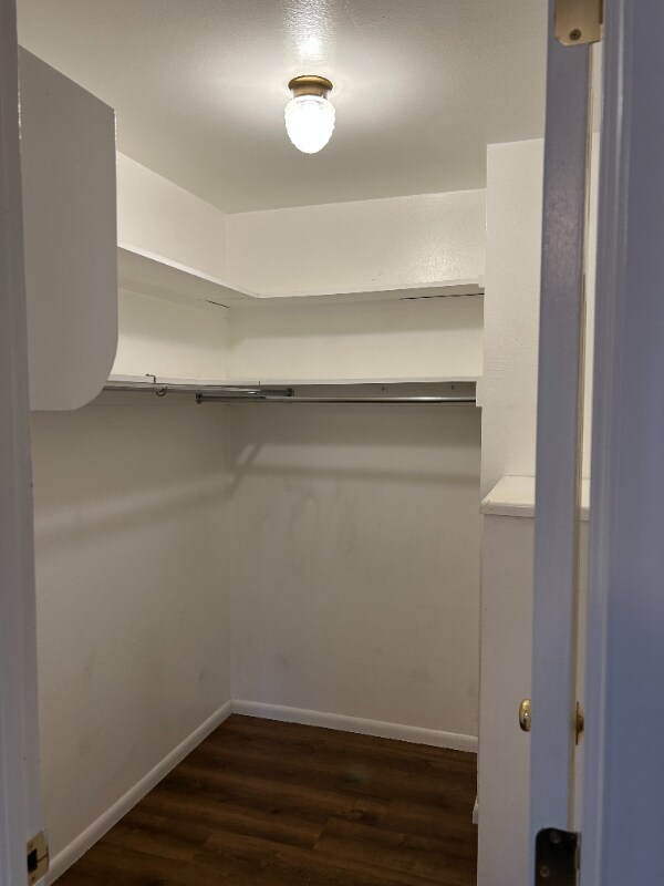 Building Photo - 2620 Lloyd Cir