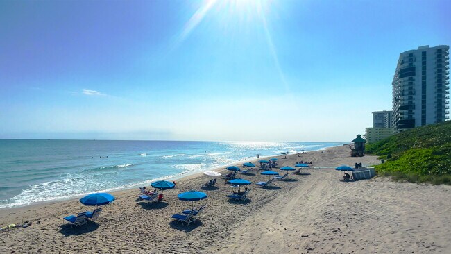 Building Photo - 19230 Fox Landing Dr