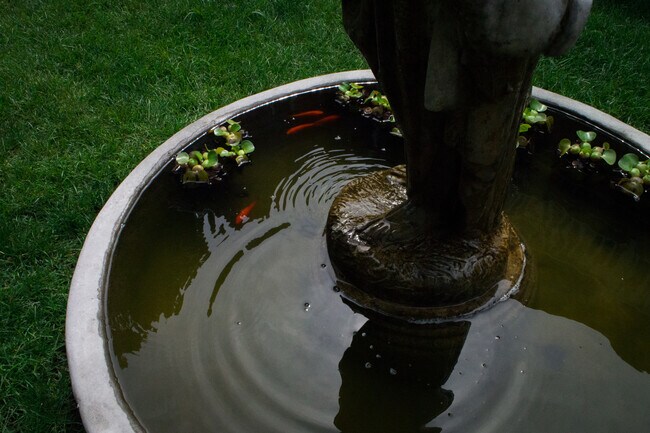 Building Photo - 228 Allen St